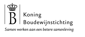 koning-boudewijnstichting